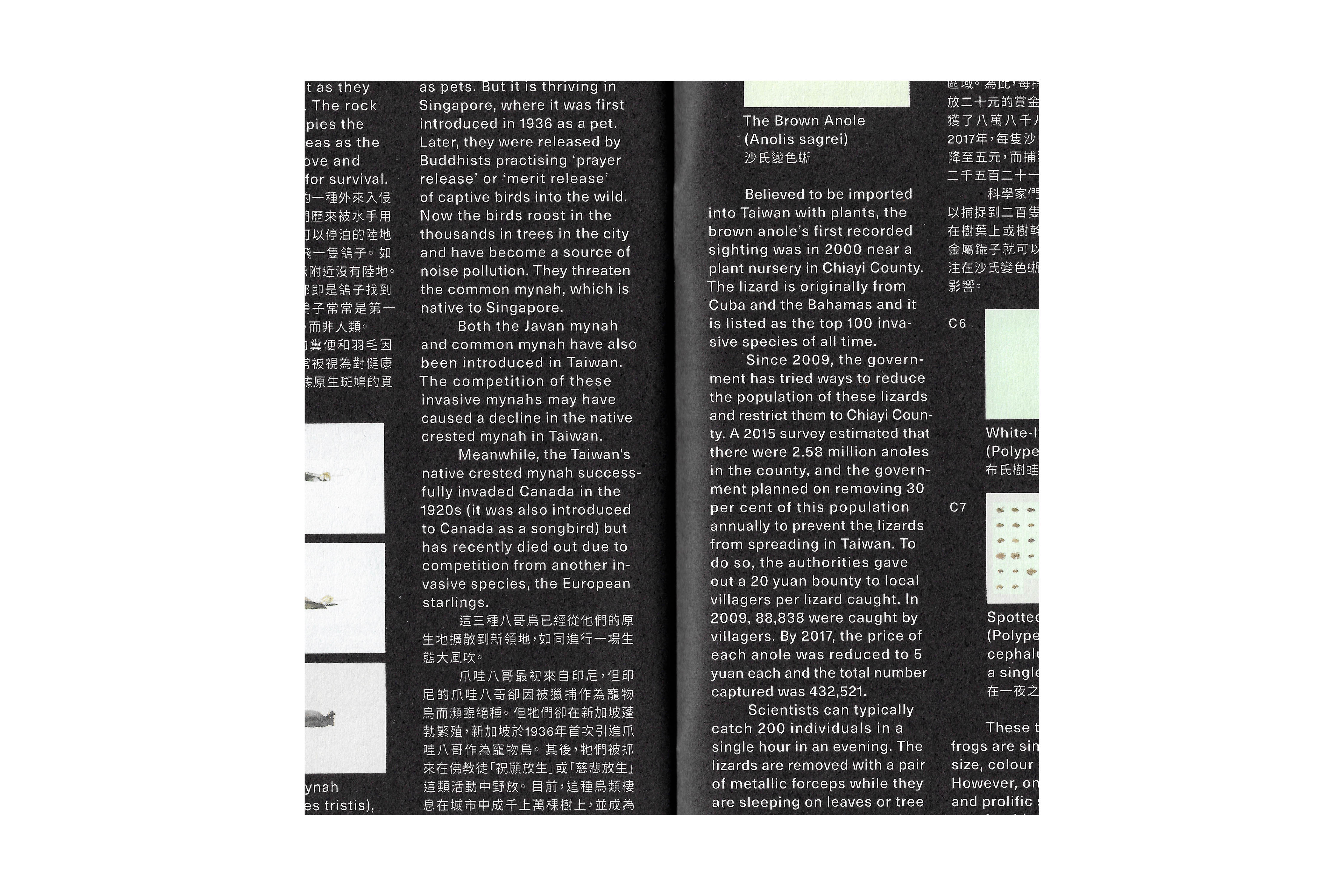 965 When Worlds Collide (exhibition publication), for Robert Zhao Renhui and Taipei Biennial 2018